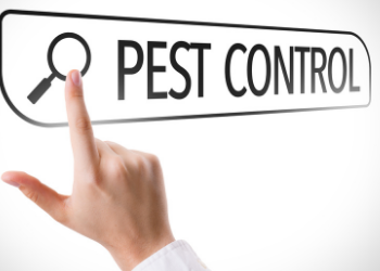 pest control cervices In North Vancouver