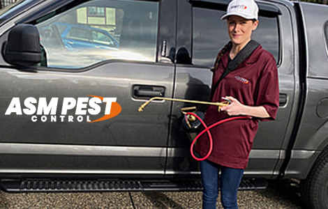 Pest Control Services in North Vancouver