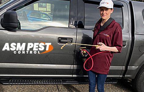 2 Pest Control Services in North Vancouver