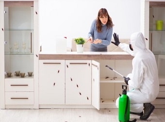 Pest Control Services in Burnaby
