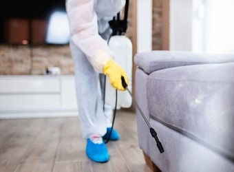 Pest Control in Surrey