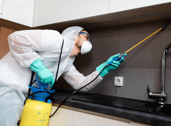 Pest Control And Extermination