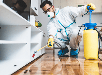 Pest Control Services