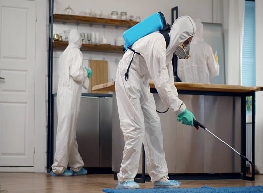 Professional Pest Control Service