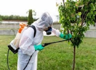 Pest Removal Services In Burnaby