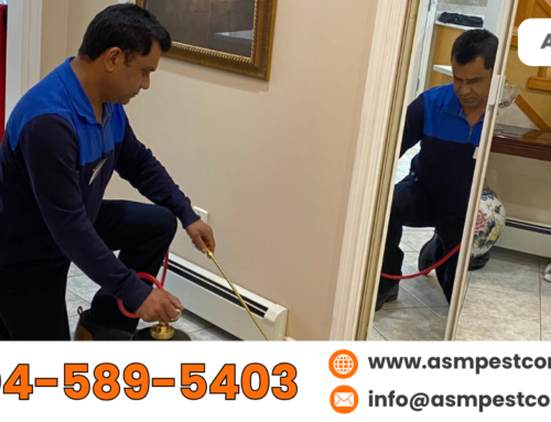 Preparation For Pest Control Treatment: What to Expect With an ASM Pro