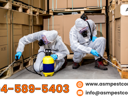 Top Commercial Pest Control Solutions for Your Business