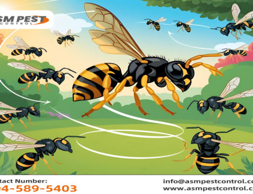 Do Wasps Communicate? Uncovering the Secrets of Nature’s Scary Insect.