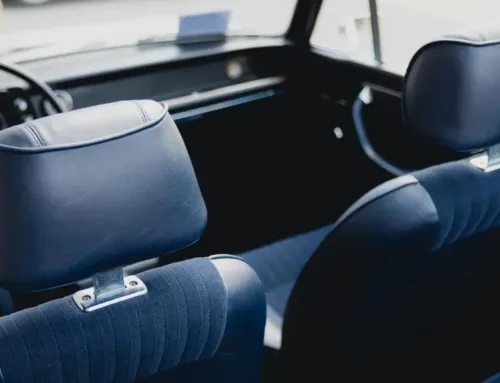 Can Bed Bugs Live in Your Car? Understanding, Prevention, and Removal