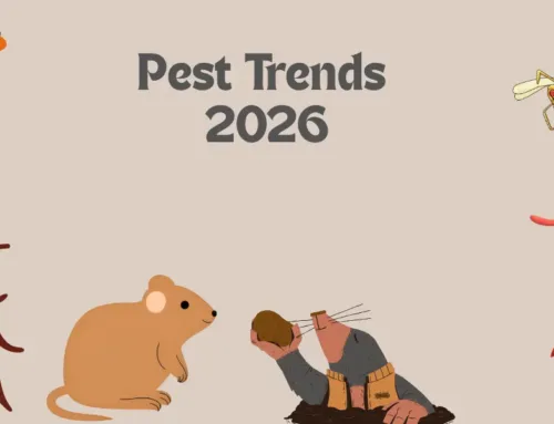Pest Trends 2026 in Canada: What to Expect